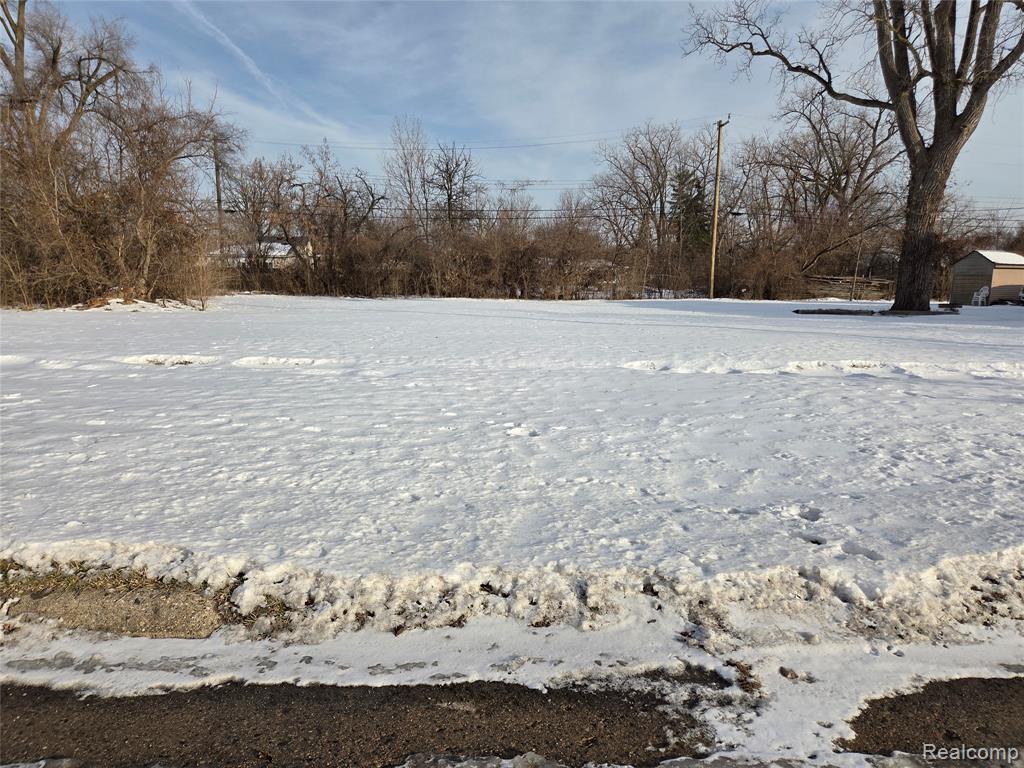 3607 Harrison Street Inkster, MI 48141 - Photo 1 of 4