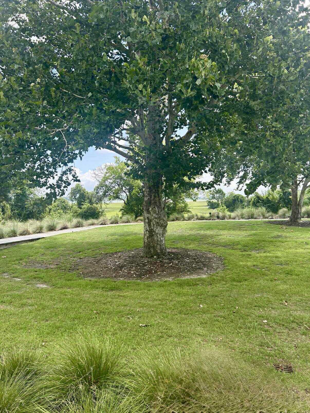 1048 Main Street Charleston, SC 29407 - Photo 11 of 14 Park