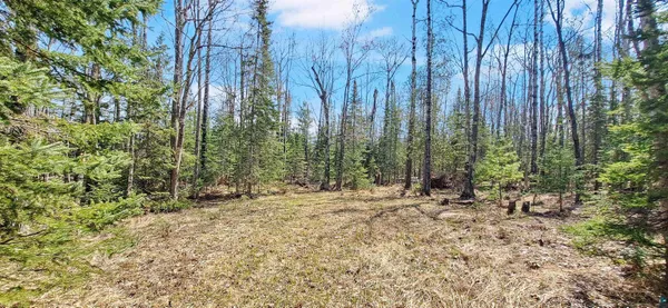 $140,000 | Xxx Mondamin Trail, La Pointe, WI 54850