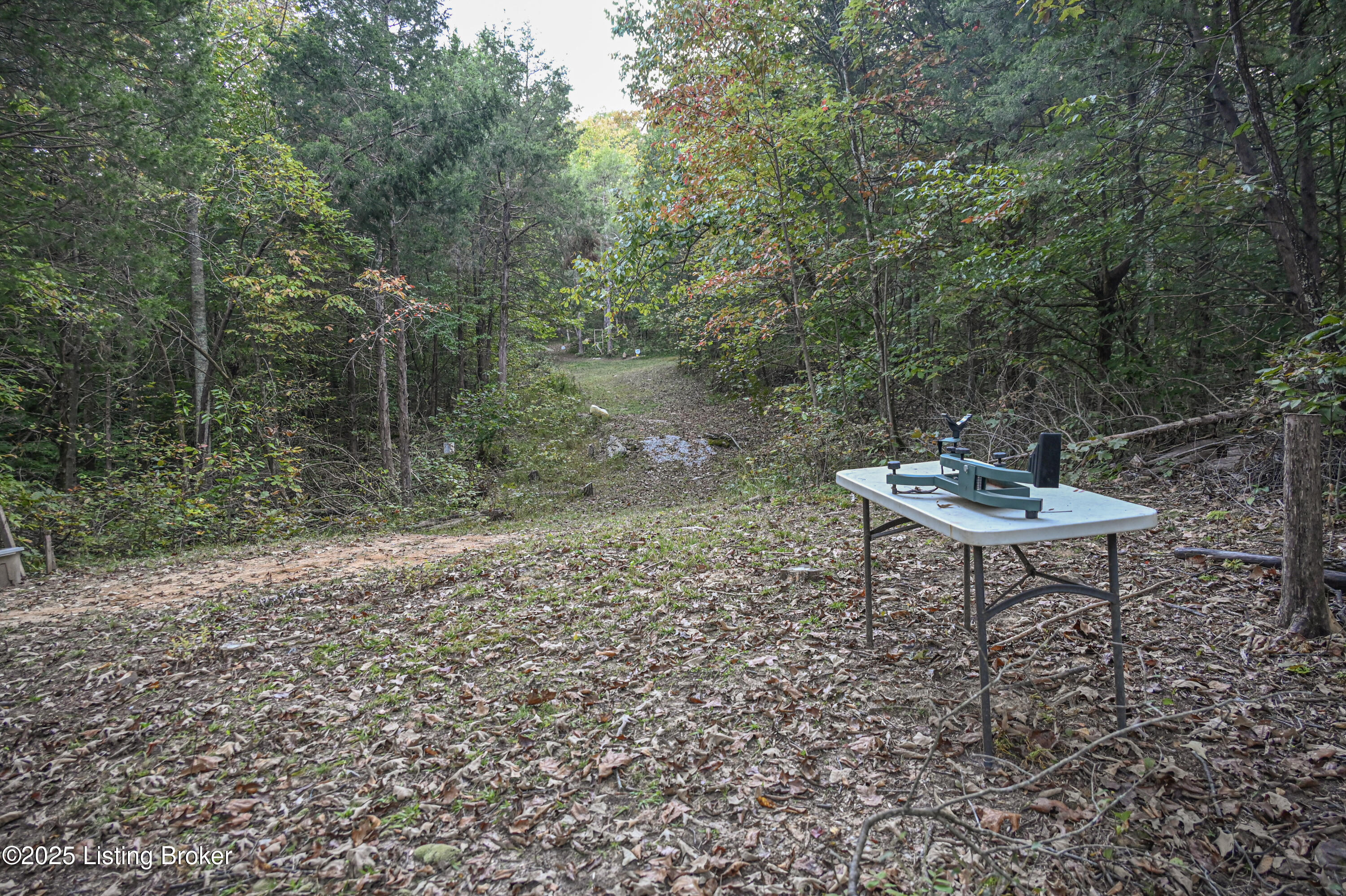 981 Limp Road Big Clifty, KY 42712 - Photo 17 of 44 17-DSC_0858
