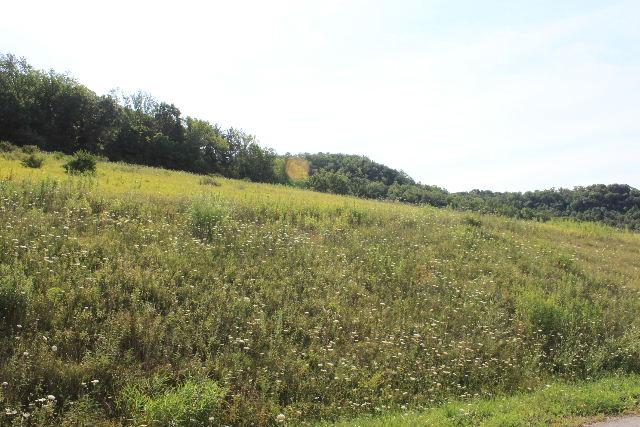 Lot 6