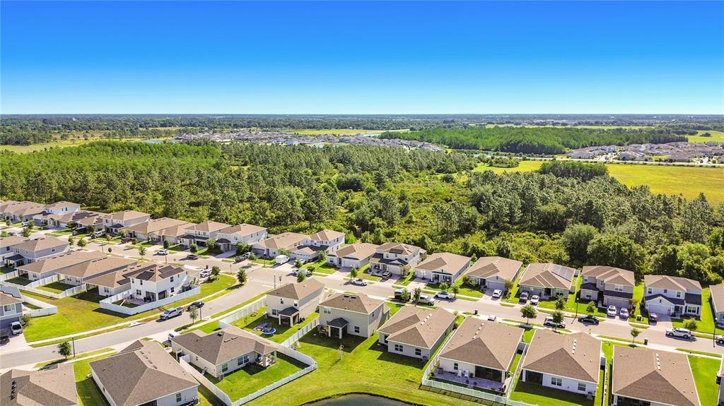 4291 Southern Vista Loop St. Cloud, FL 34772 - Photo 55 of 57