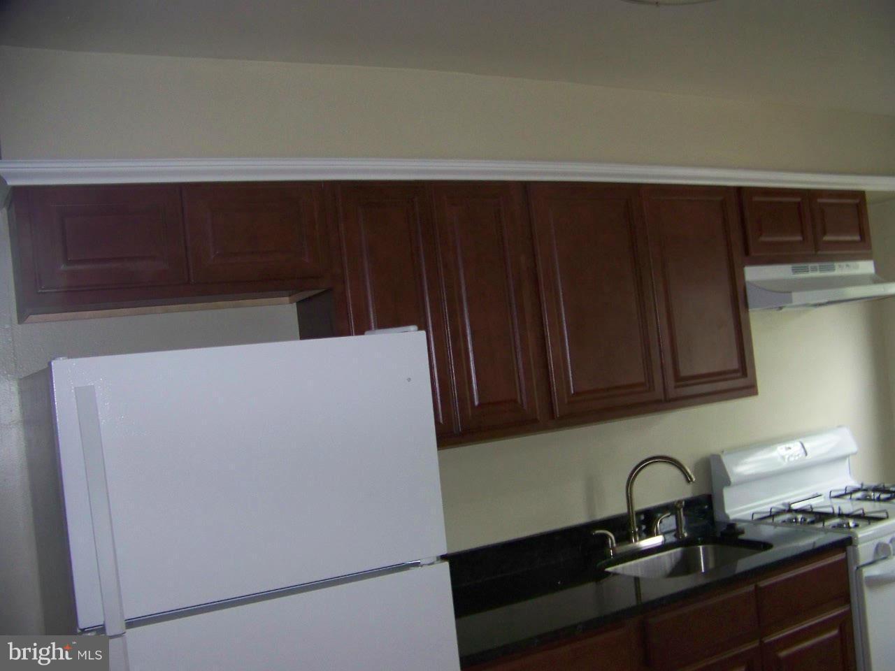 703 Benninghaus Road Baltimore, MD 21212 - Photo 10 of 24 Kitchen