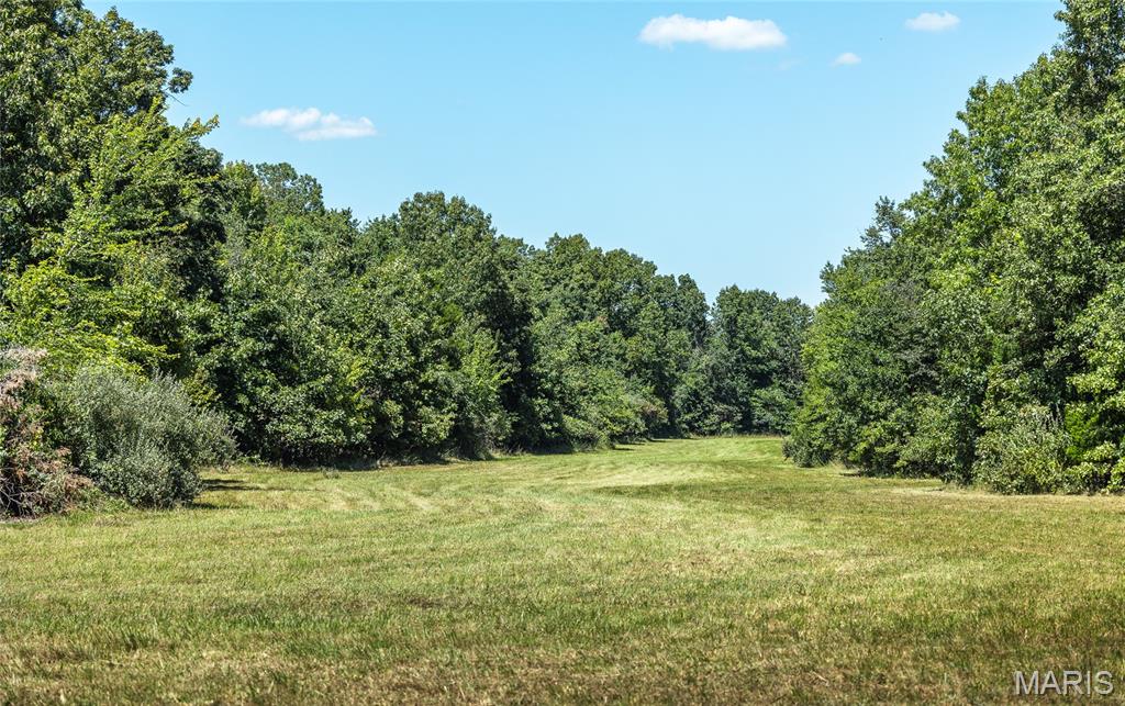4 Buck Mountain Road Ironton, MO 63650 - Photo 22 of 27
