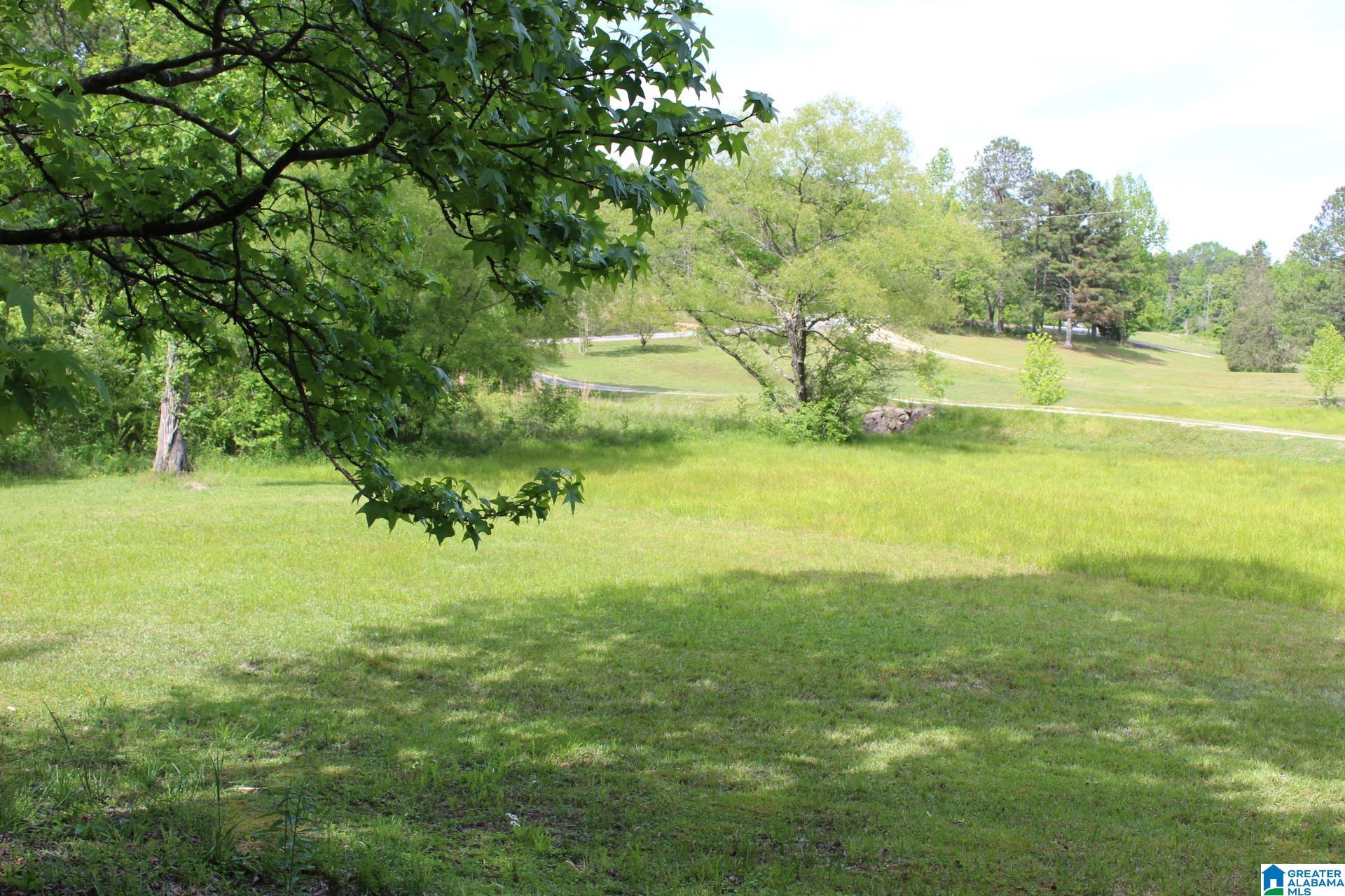 270 Duke School Road Wellington, AL 36279 - Photo 80 of 80