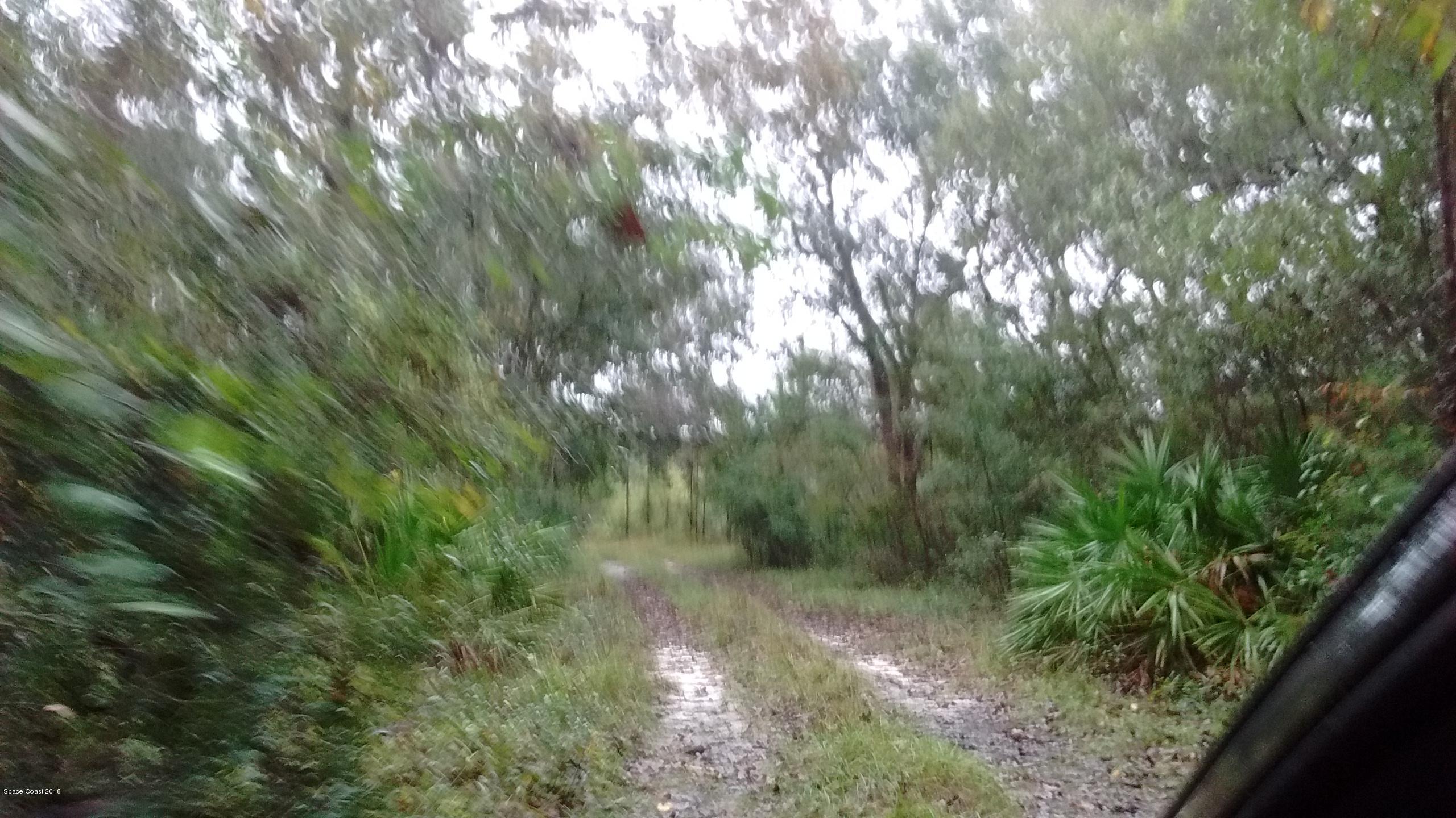 667 Fanlew Road Monticello, FL 32344 - Photo 6 of 6 Fanlew3_Driveway