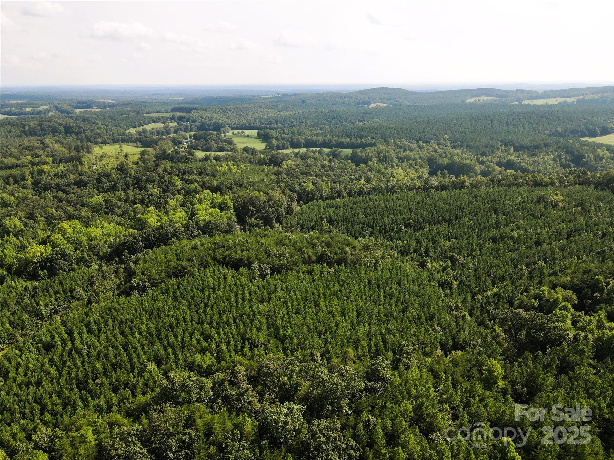 0 Irvin Road Ellenboro, NC 28040 - Photo 25 of 29 Gallery Image 25