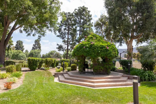 a view of a fountain in the middle of a park