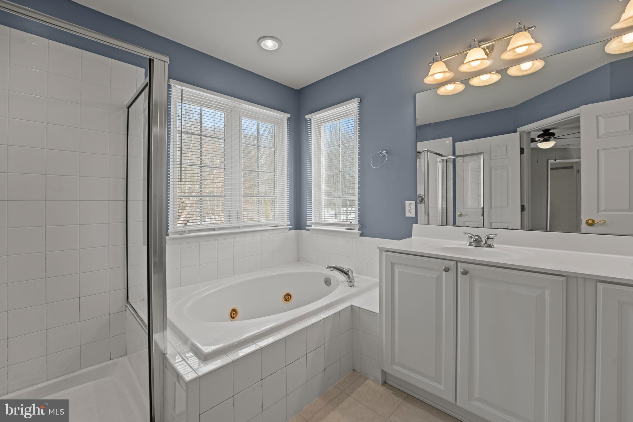 7756 Seneca Ridge Drive York, PA 17403 - Photo 37 of 50 a bathroom with a tub sink and mirror