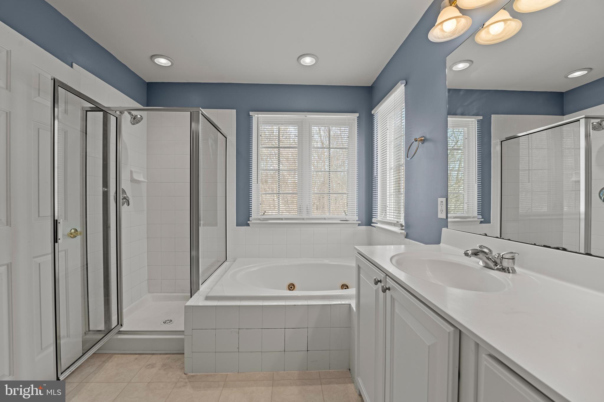 7756 Seneca Ridge Drive York, PA 17403 - Photo 38 of 50 a bathroom with a tub sink and mirror