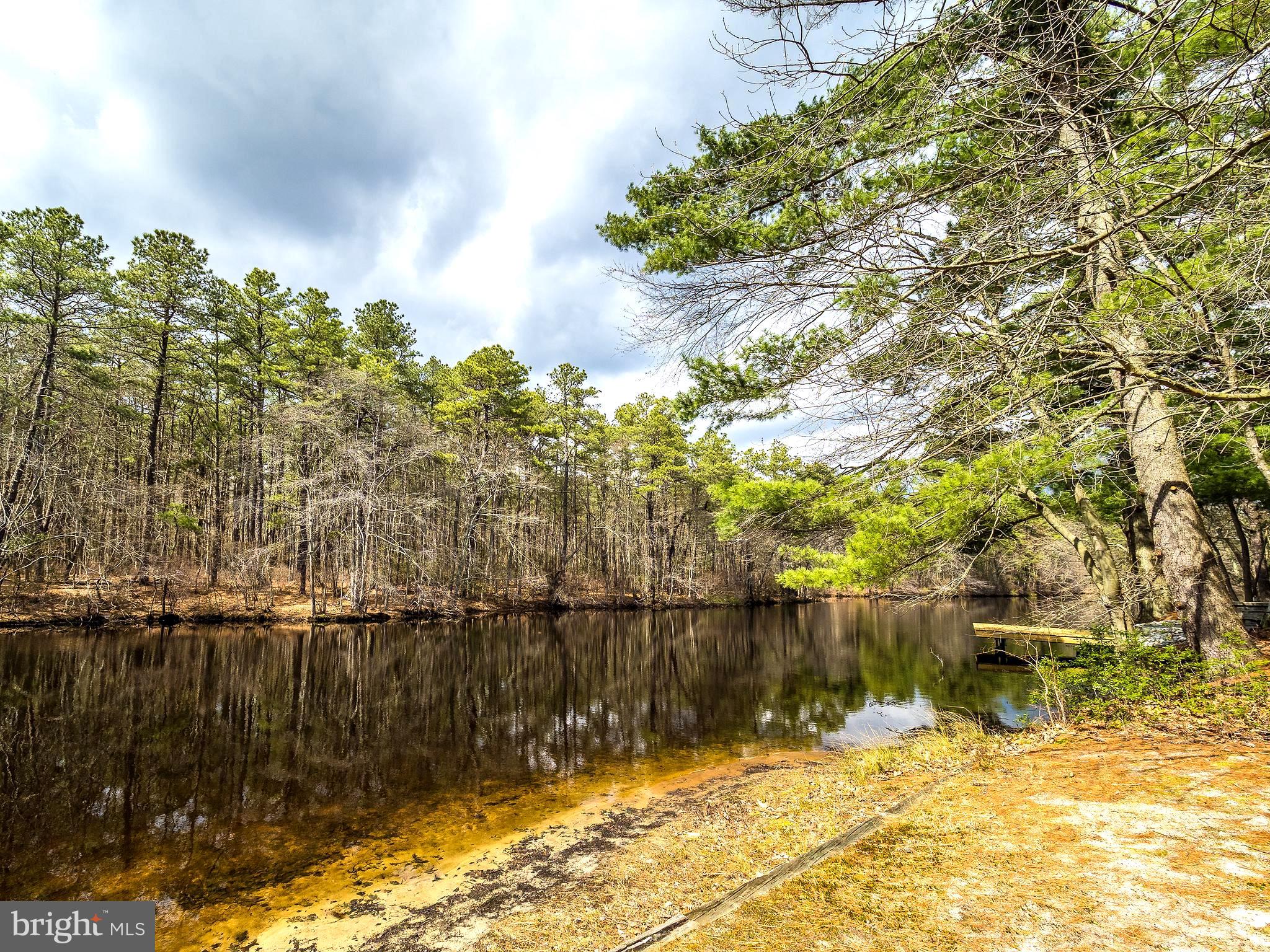 262 Hopewell Road Medford, NJ 08055 - Photo 4 of 29 Blue Lake