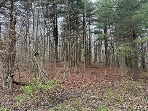 Donnerville Road Russell, NY 13684 - Photo 1 of 4