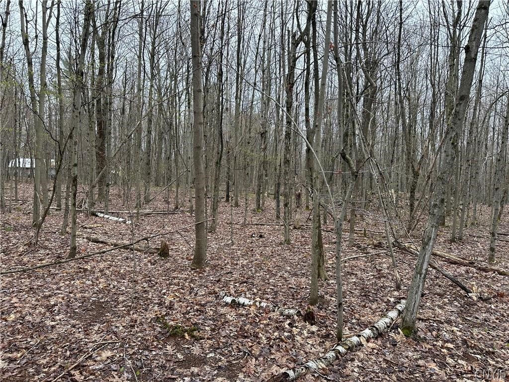 Donnerville Road Russell, NY 13684 - Photo 1 of 4