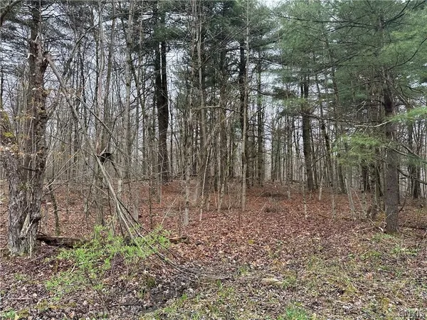 $32,000 | Donnerville Road, Russell, NY 13684