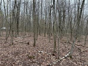 Donnerville Road Russell, NY 13684 - Photo 3 of 4