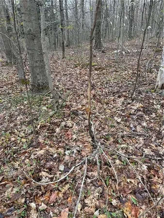 $32,000 | Donnerville Road, Russell, NY 13684