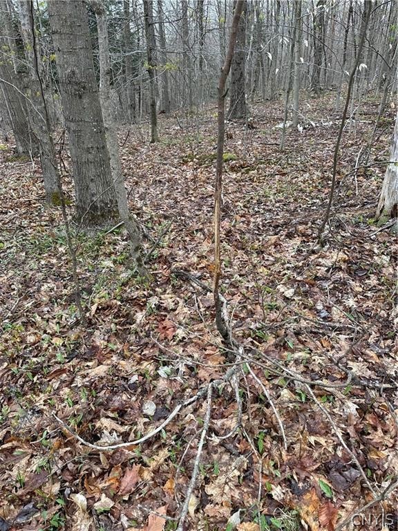 Donnerville Road Russell, NY 13684 - Photo 3 of 4