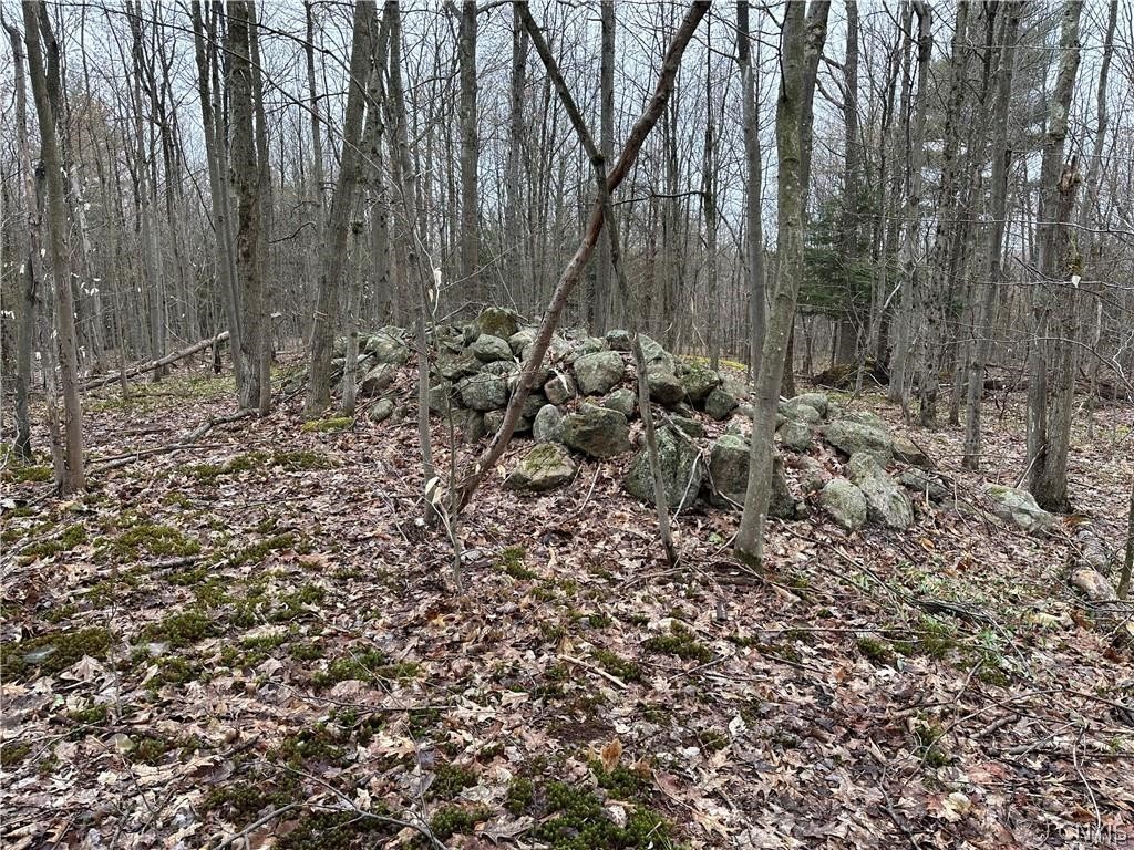Donnerville Road Russell, NY 13684 - Photo 4 of 4