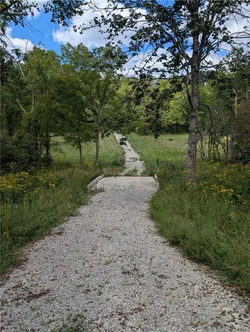 a view of a field with an trees