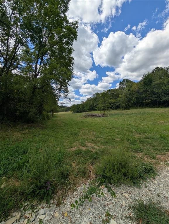 1 Phillips Road Burgettstown, PA 15021 - Photo 5 of 9 a view of a field with an trees