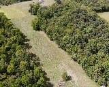 1 Phillips Road Burgettstown, PA 15021 - Photo 6 of 9 a view of a yard with plants and tree