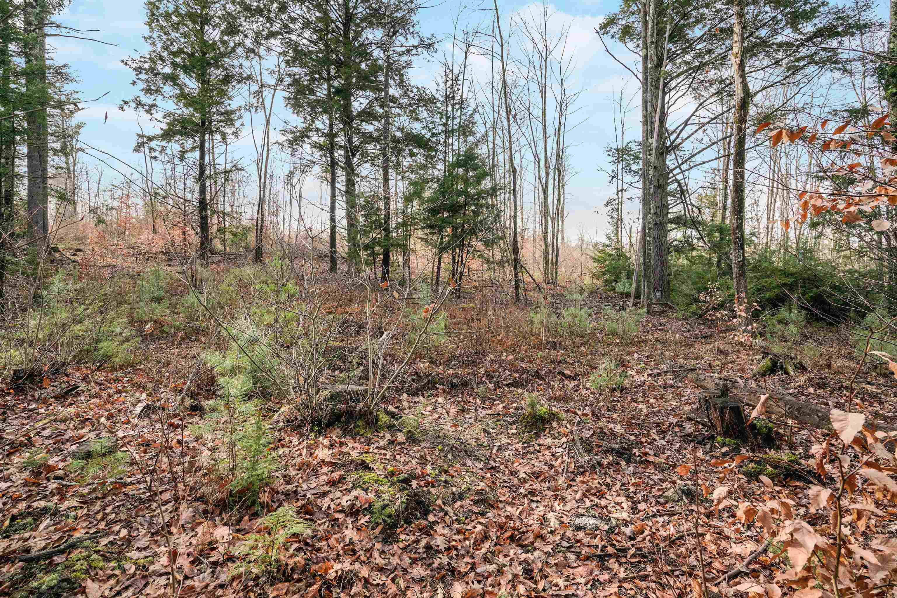 0 Merrill Road Candia, NH 03034 - Photo 1 of 33 Gallery Image 1
