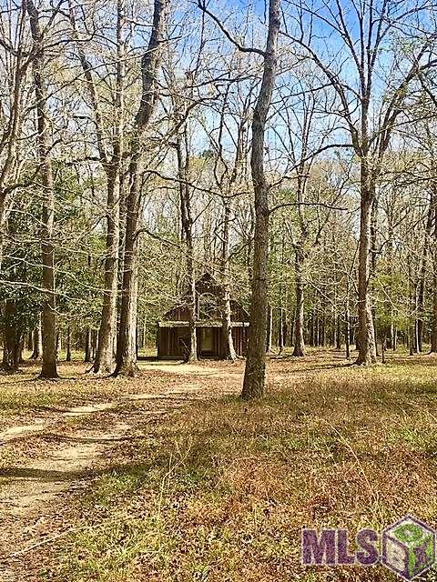 3589 Nesom Road Clinton, LA 70722 - Photo 1 of 11 Gallery Image 1
