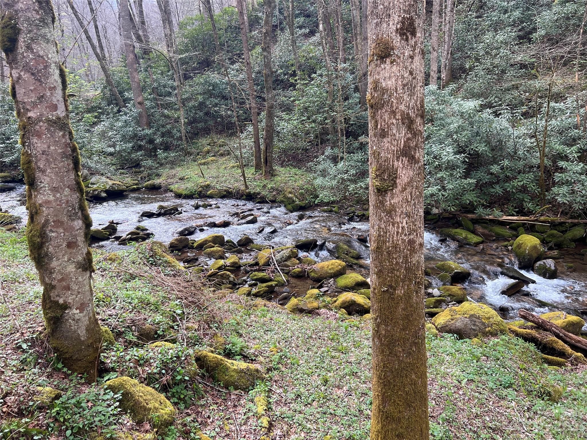 Lot 86 Reservation Road, Unit 86B Maggie Valley, NC 28751 - Photo 1 of 28 Gallery Image 1