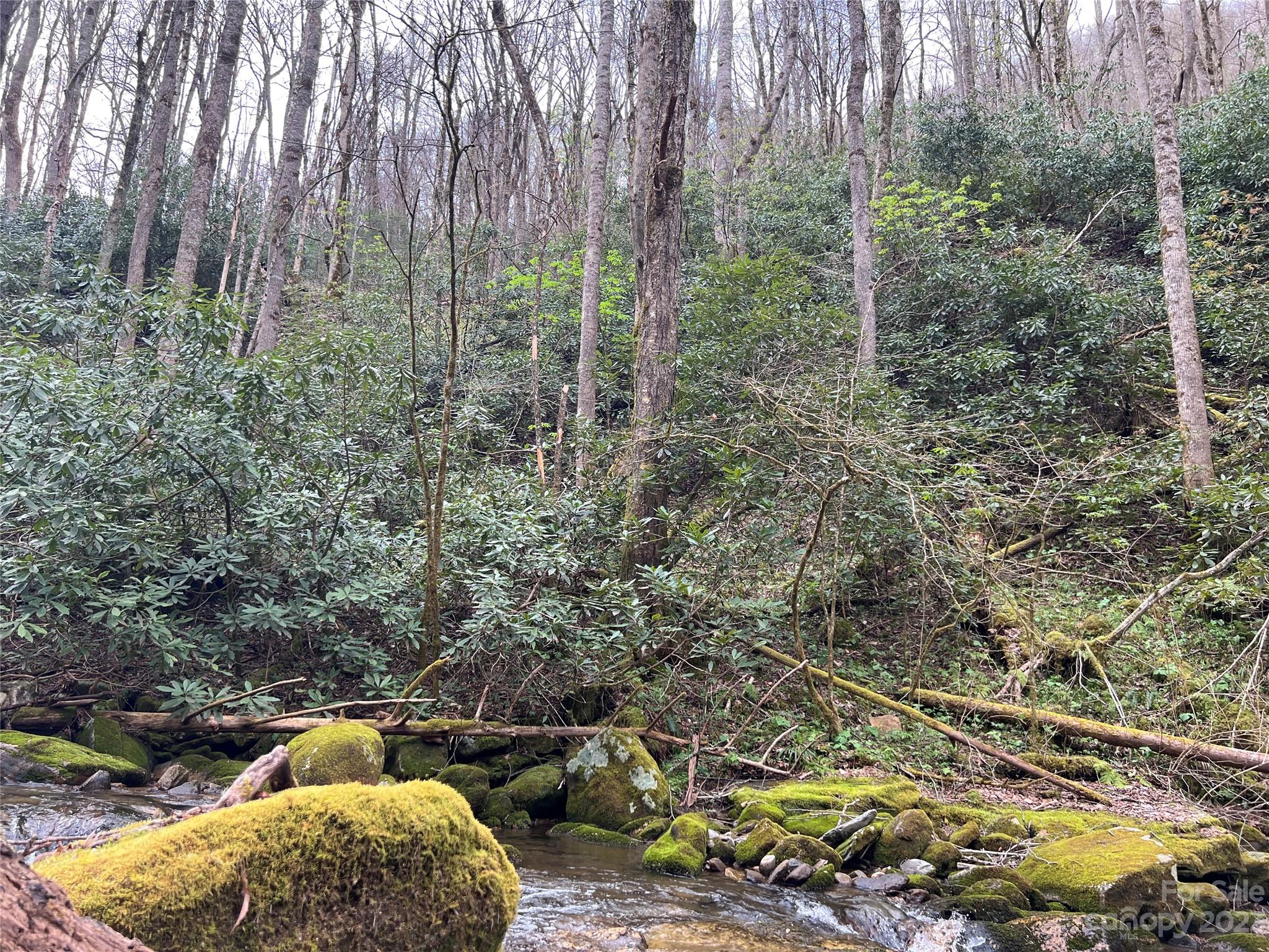 Lot 86 Reservation Road, Unit 86B Maggie Valley, NC 28751 - Photo 11 of 28 Gallery Image 11