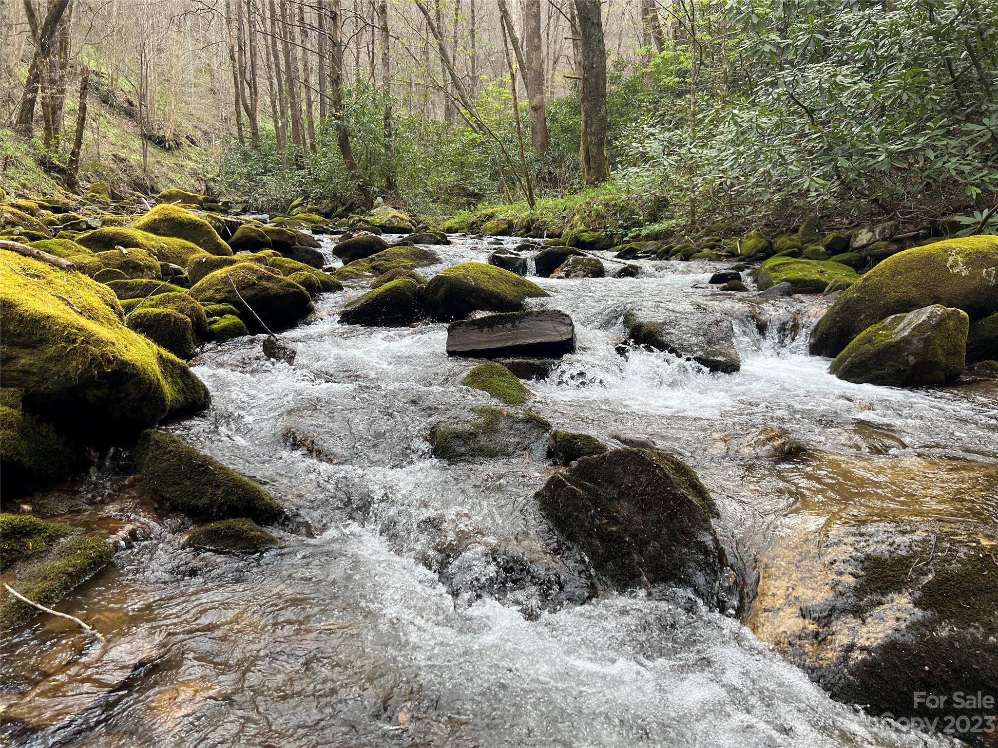 Lot 86 Reservation Road, Unit 86B Maggie Valley, NC 28751 - Photo 12 of 28 Gallery Image 12