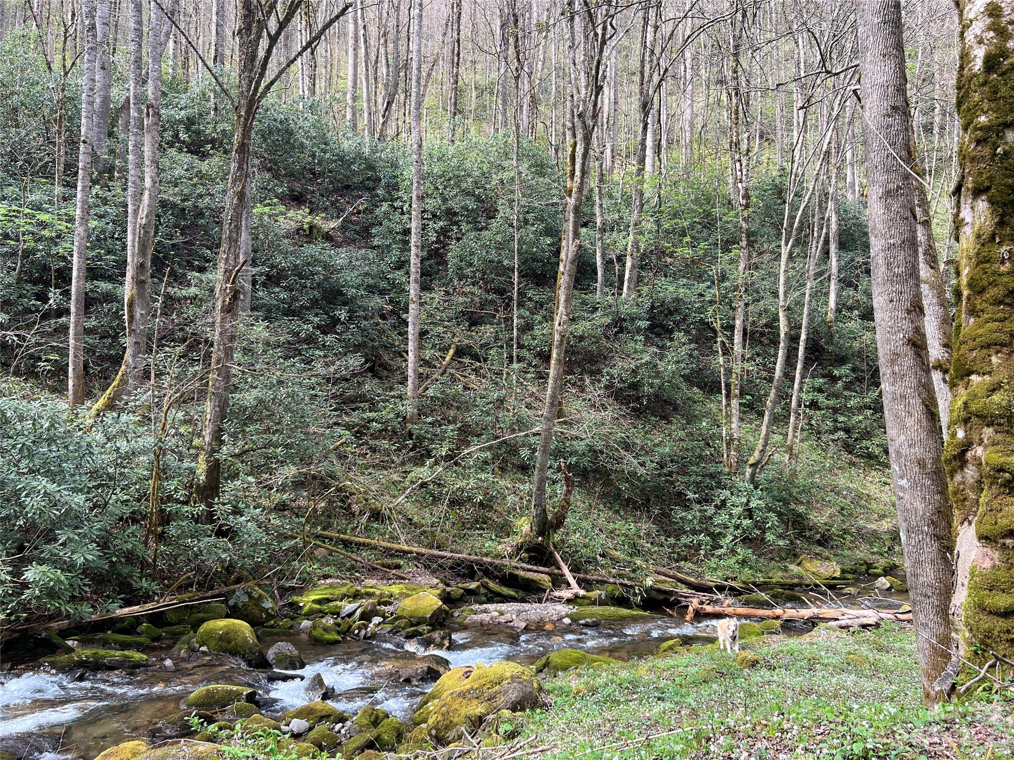 Lot 86 Reservation Road, Unit 86B Maggie Valley, NC 28751 - Photo 17 of 28 Gallery Image 17