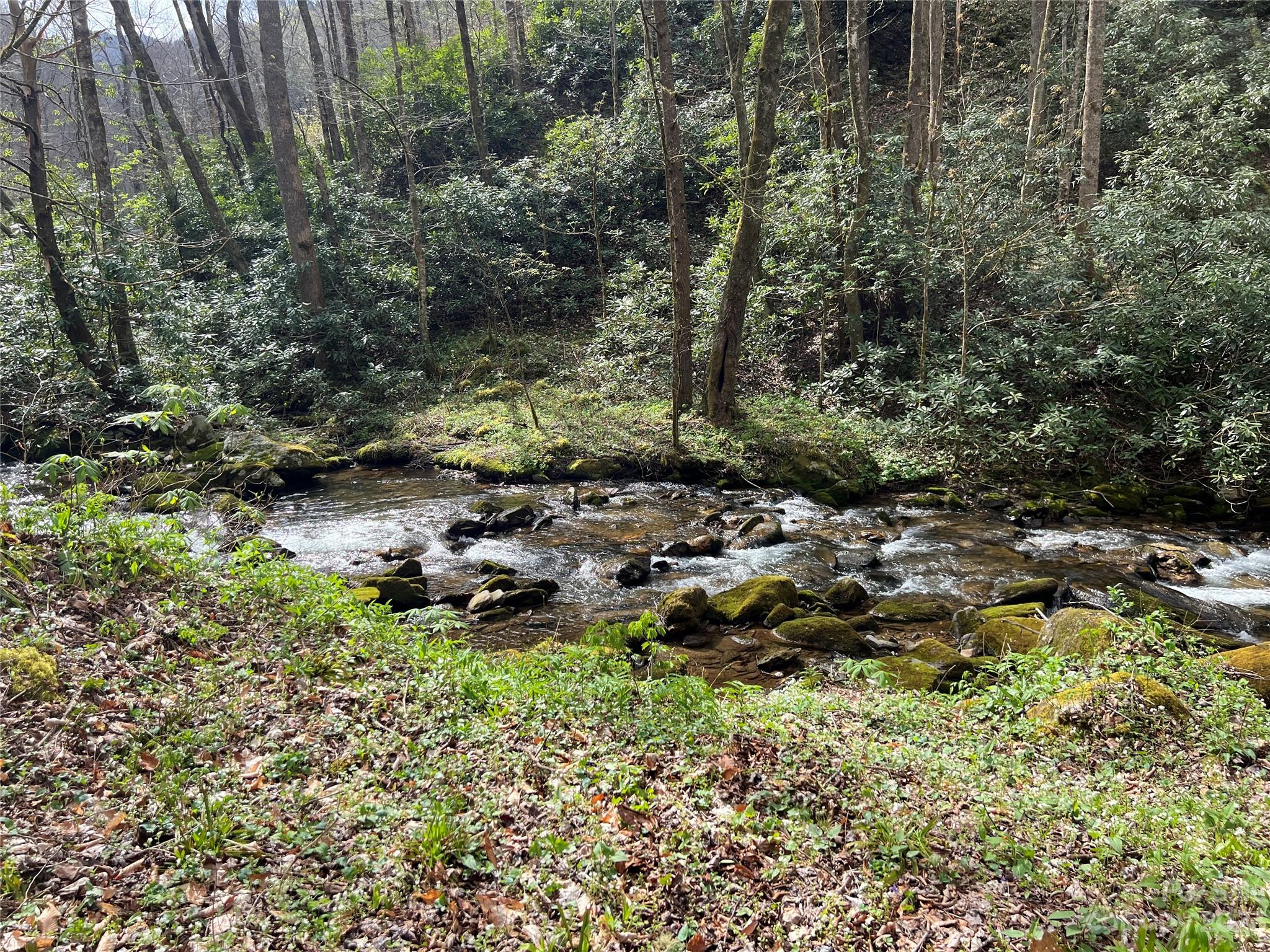 Lot 86 Reservation Road, Unit 86B Maggie Valley, NC 28751 - Photo 20 of 28 Gallery Image 20