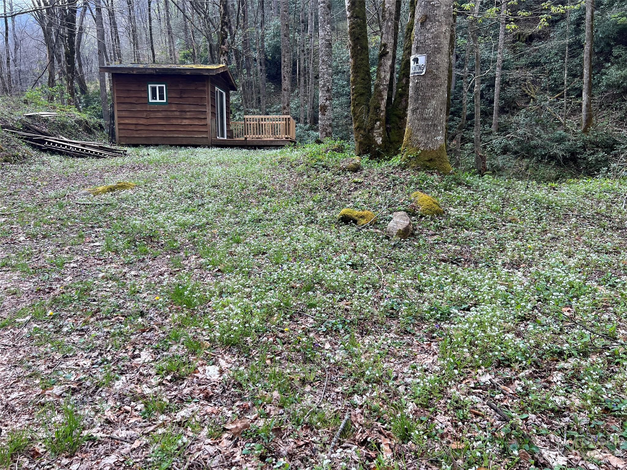 Lot 86 Reservation Road, Unit 86B Maggie Valley, NC 28751 - Photo 2 of 28 Gallery Image 2