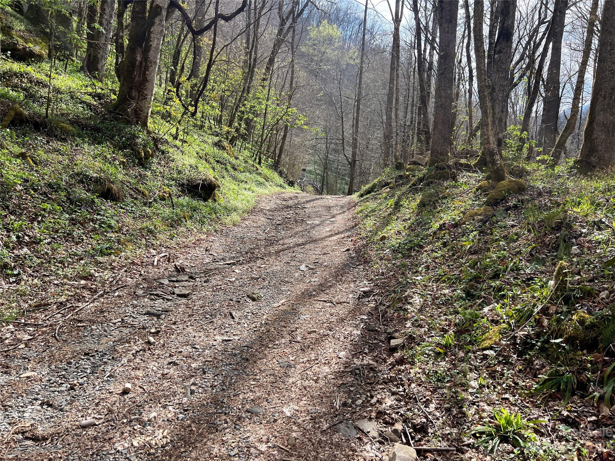 Lot 86 Reservation Road, Unit 86B Maggie Valley, NC 28751 - Photo 21 of 28 Gallery Image 21
