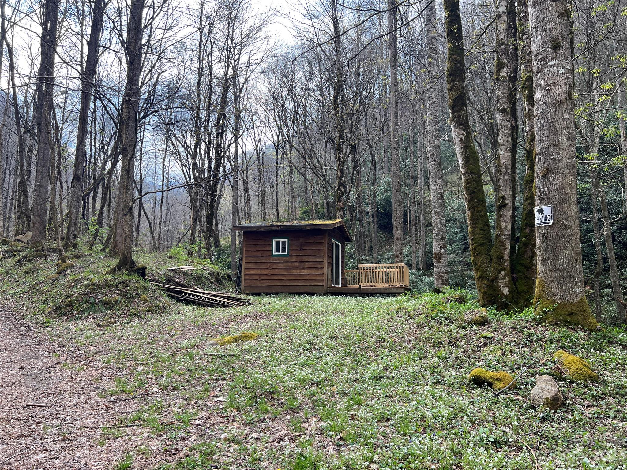 Lot 86 Reservation Road, Unit 86B Maggie Valley, NC 28751 - Photo 3 of 28 Gallery Image 3