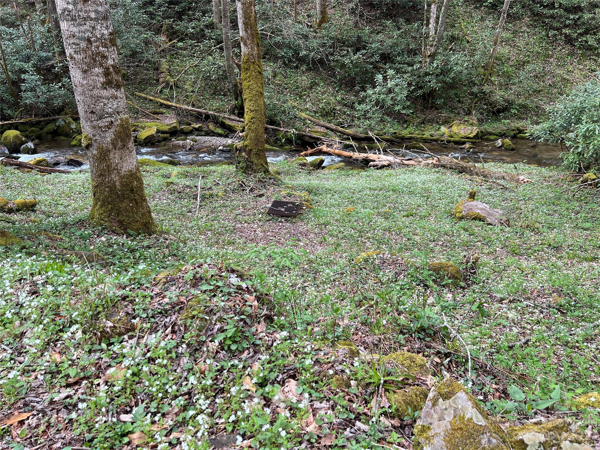 Lot 86 Reservation Road, Unit 86B Maggie Valley, NC 28751 - Photo 4 of 28 Gallery Image 4