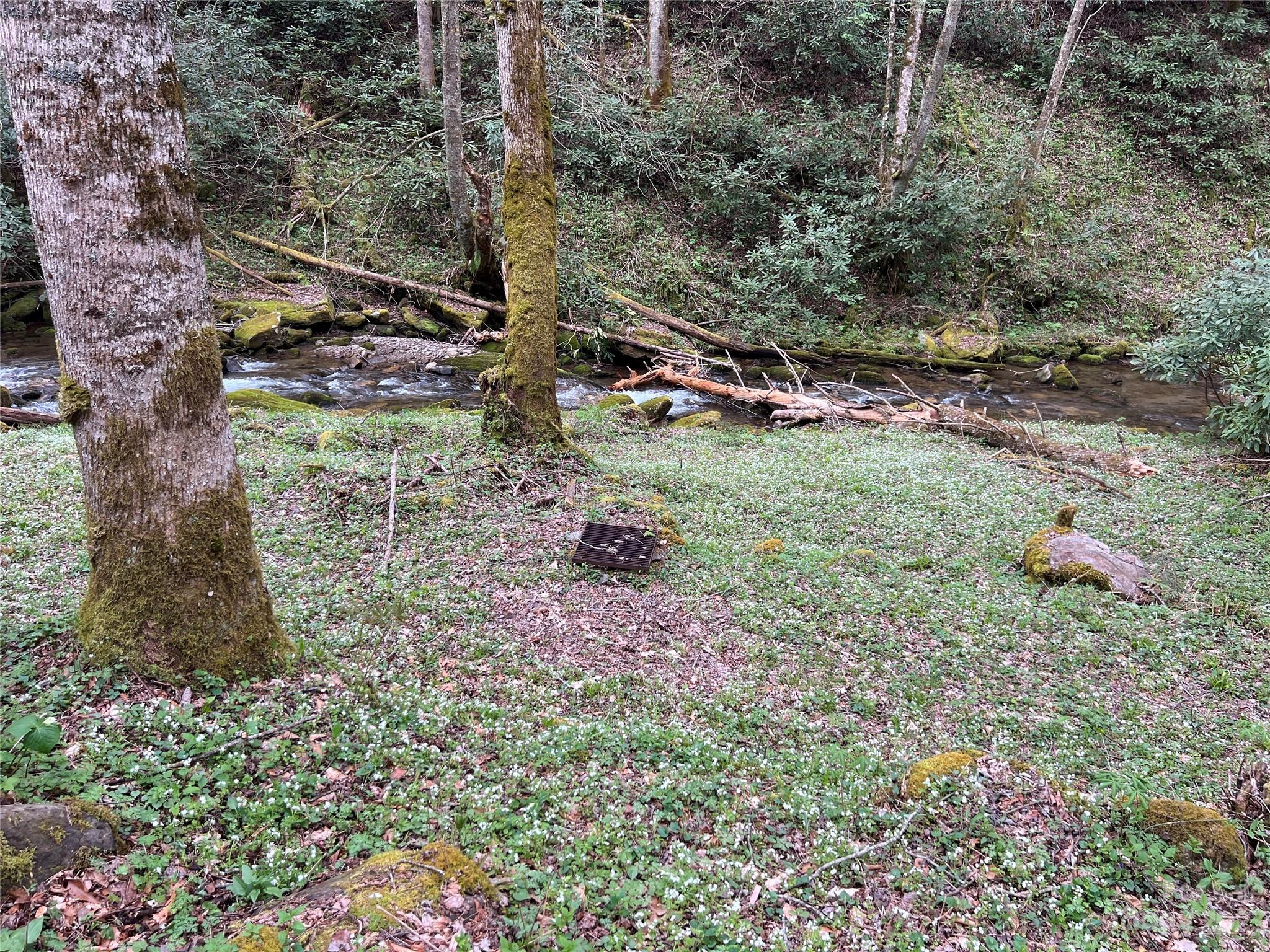Lot 86 Reservation Road, Unit 86B Maggie Valley, NC 28751 - Photo 7 of 28 Gallery Image 7