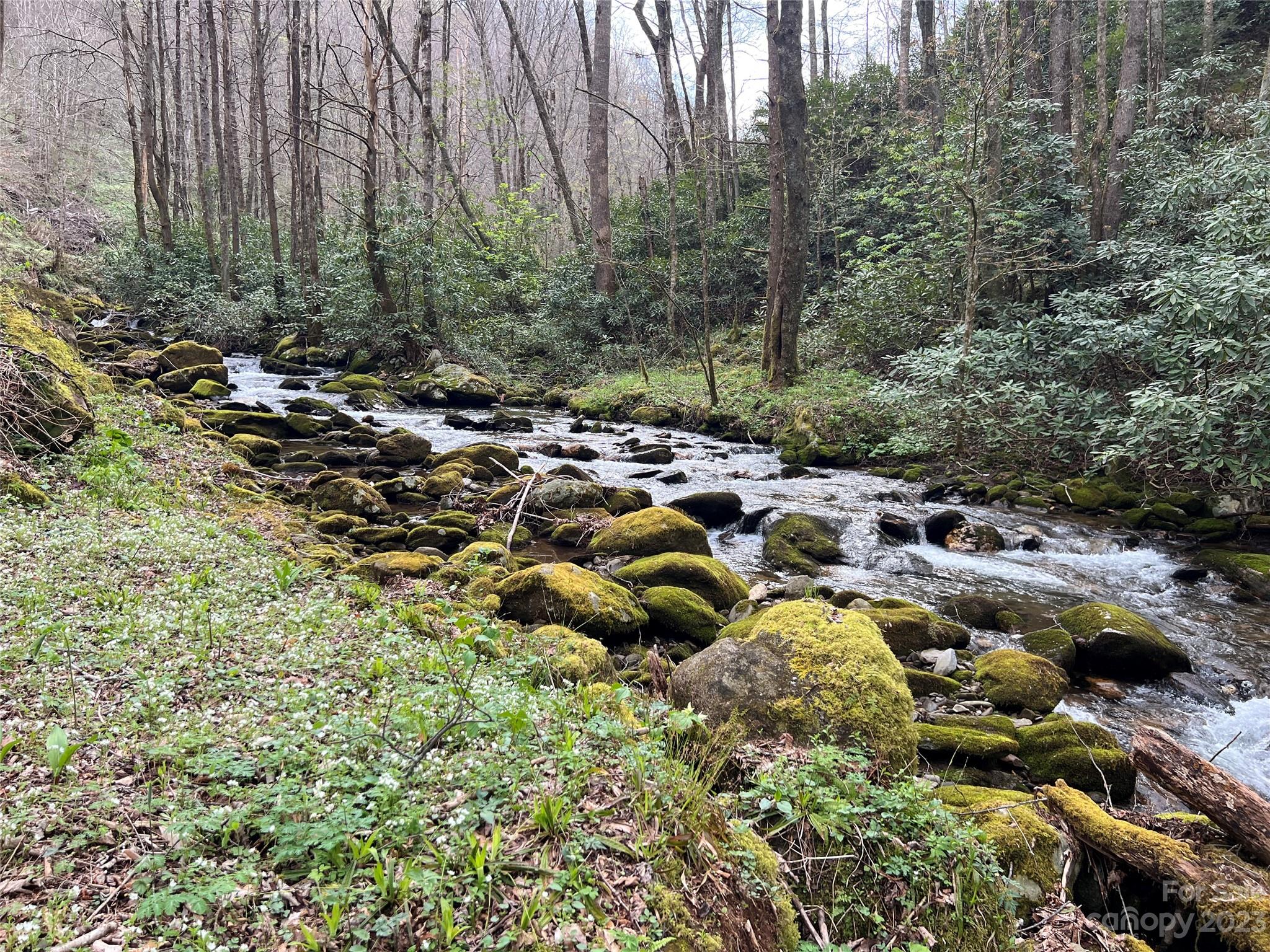 Lot 86 Reservation Road, Unit 86B Maggie Valley, NC 28751 - Photo 10 of 28 Gallery Image 10