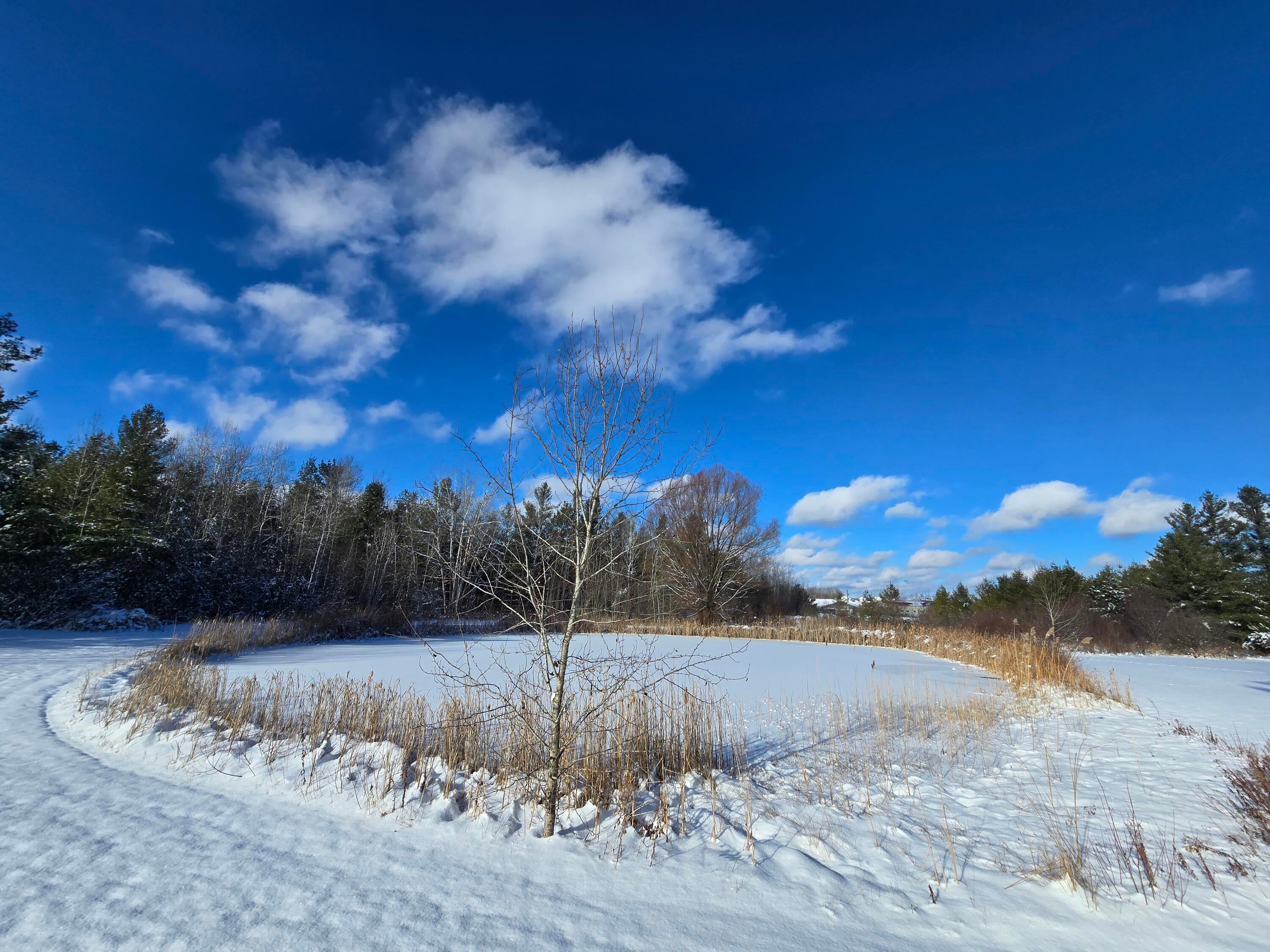 435 North Mt Tom Road Mio, MI 48647 - Photo 4 of 76 20251202_131946