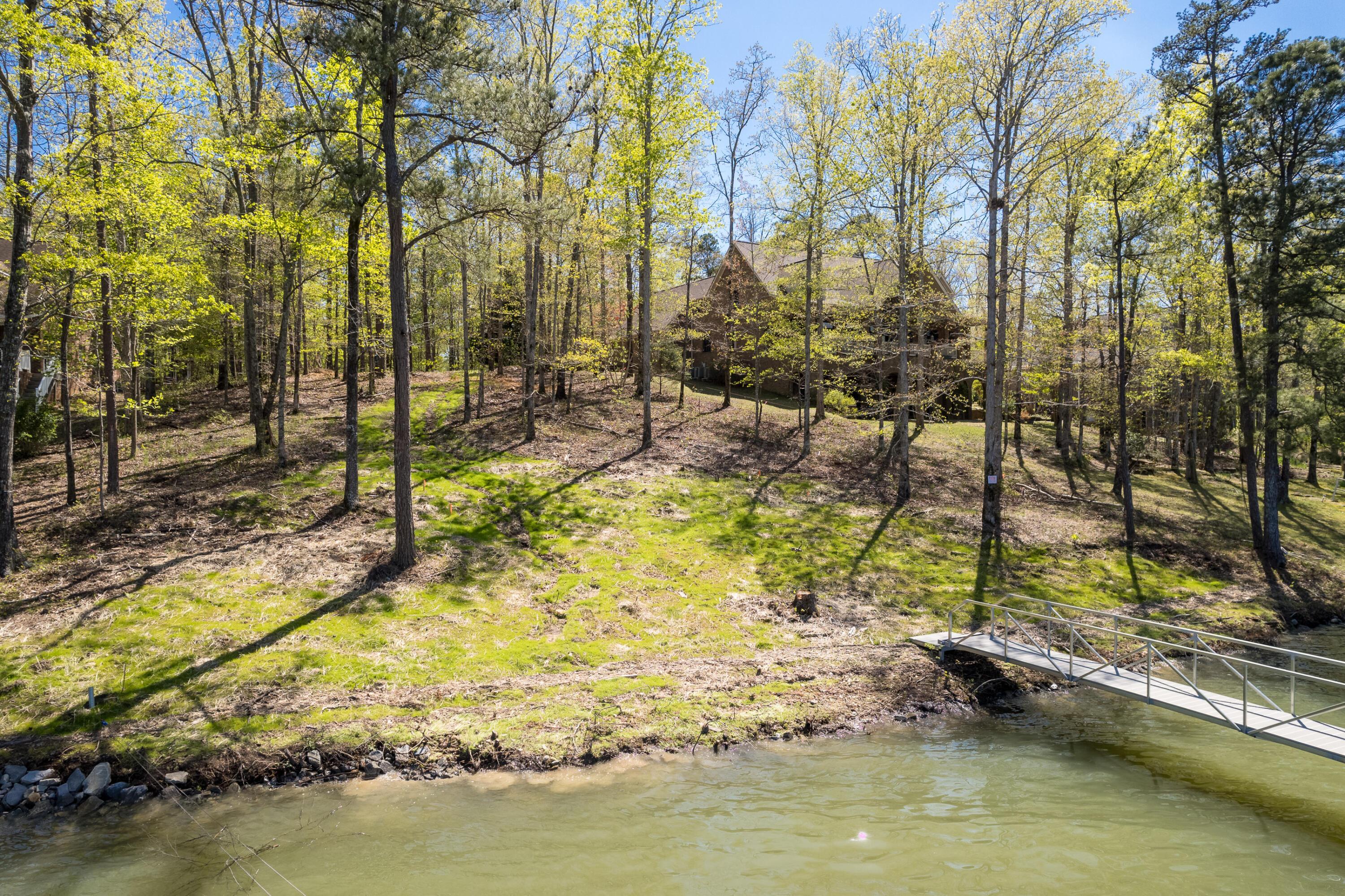 567 Stoney Point Road South Double Springs, AL 35553 - Photo 21 of 22 Lakeside/Shoreline
