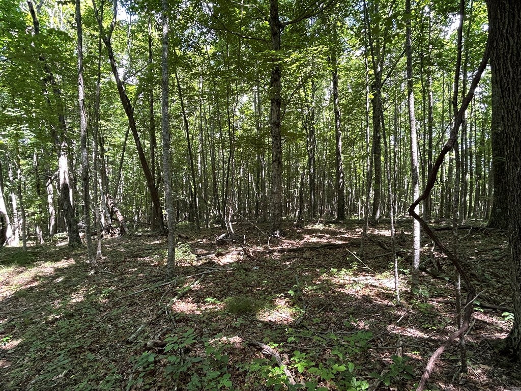Tbd Laurel Fork Road, Unit 52A Dugspur, VA 24325 - Photo 7 of 15 Gallery Image 7