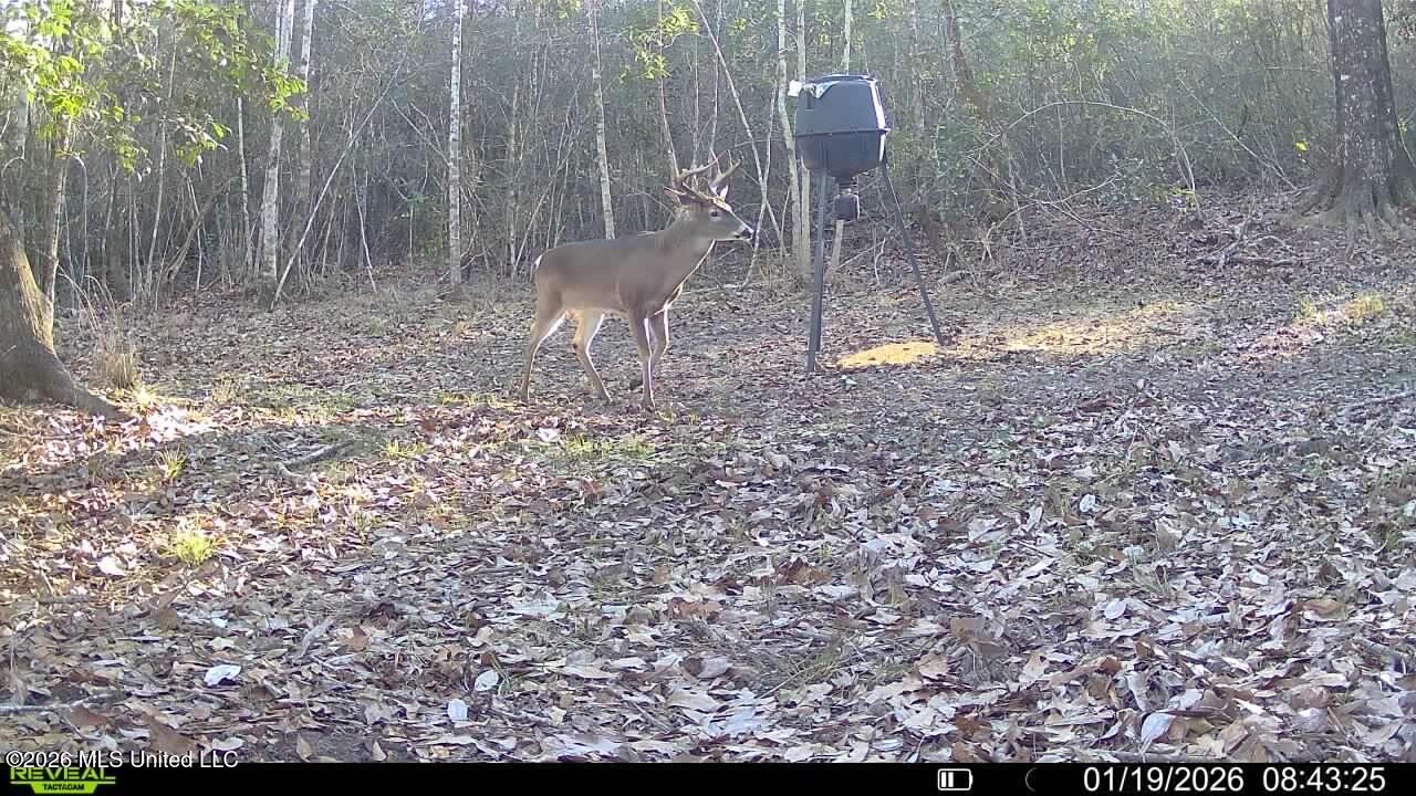 312 Ridge Road North Perkinston, MS 39573 - Photo 34 of 37 2