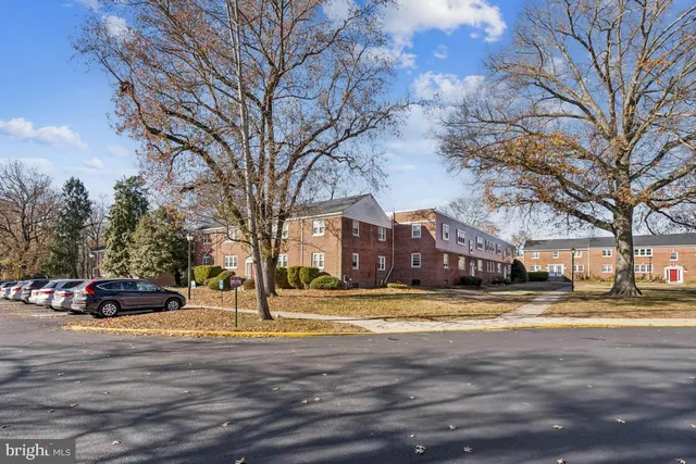 a view of road with trees
