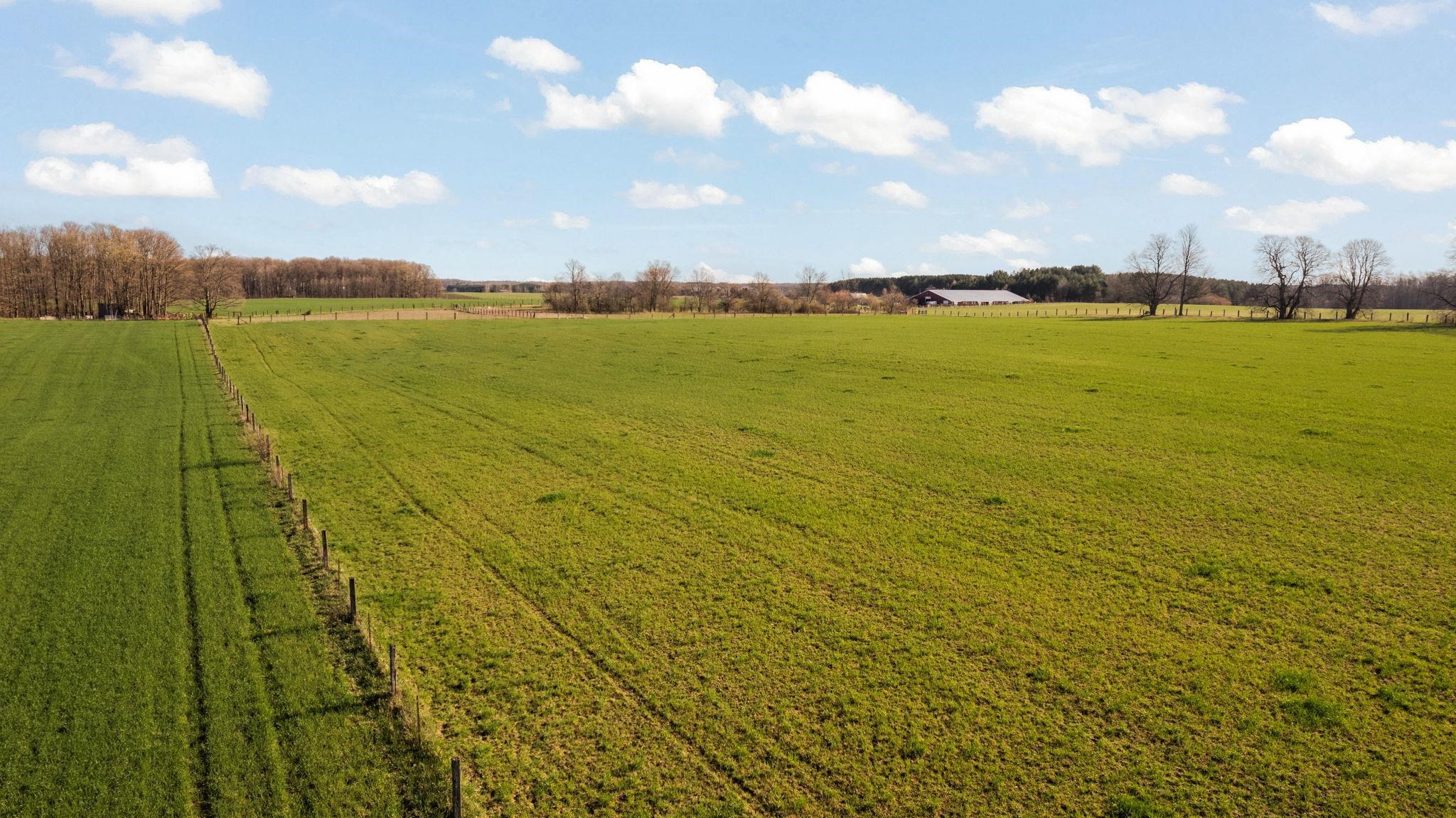 Tbd Blackman Road Kingsley, MI 49649 - Photo 17 of 20
