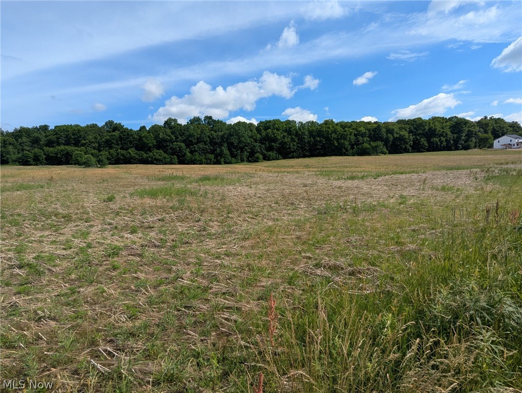 Center Road Garrettsville, OH 44231 - Photo 8 of 10