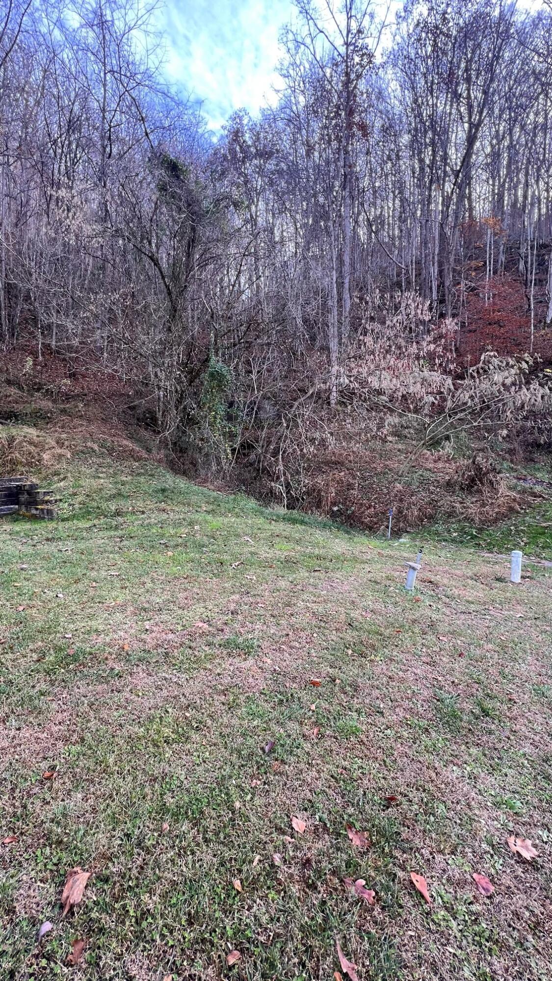 Tbd Waters Edge Road Duffield, VA 24244 - Photo 7 of 25 image5