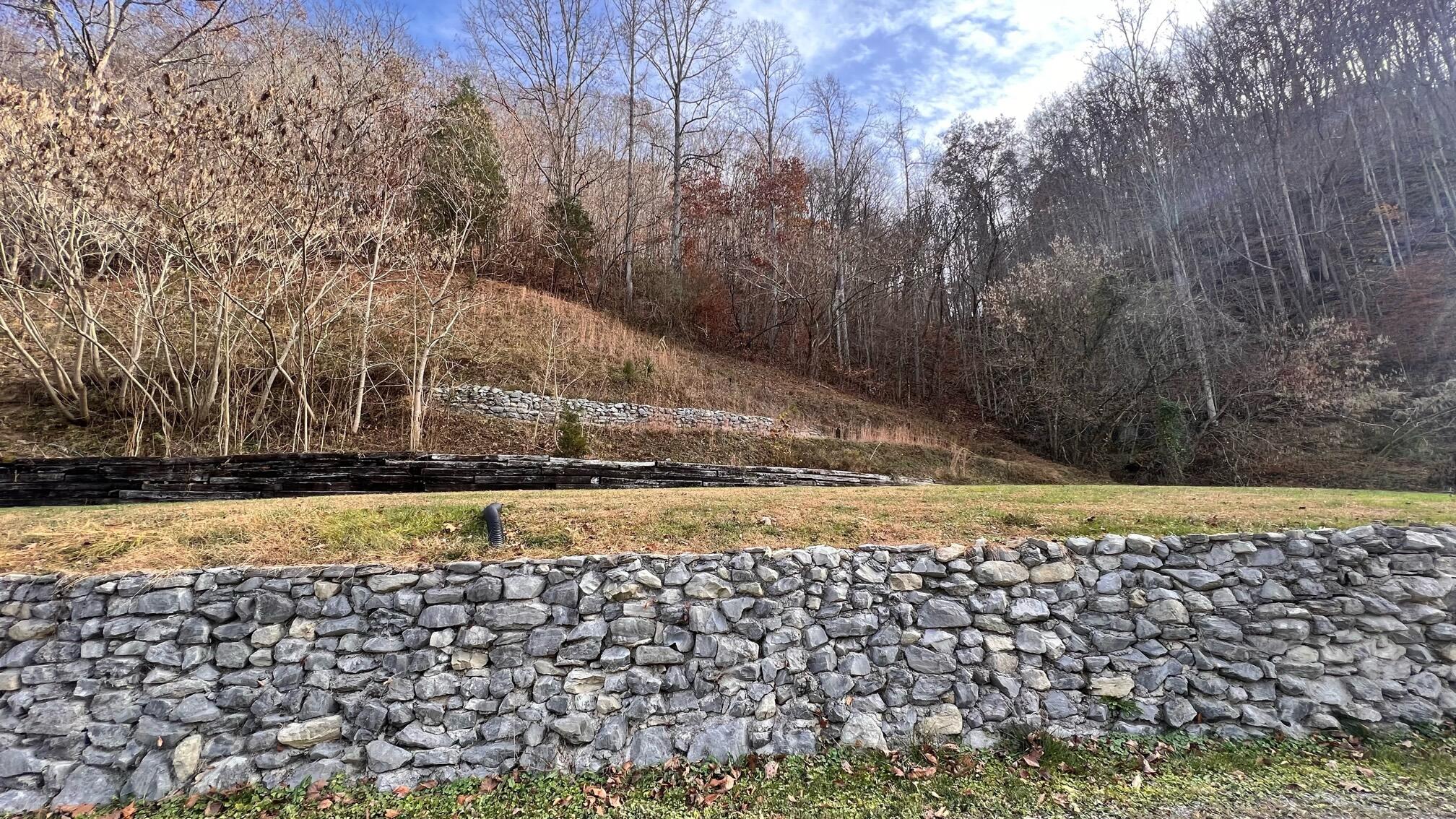 Tbd Waters Edge Road Duffield, VA 24244 - Photo 9 of 25 image1