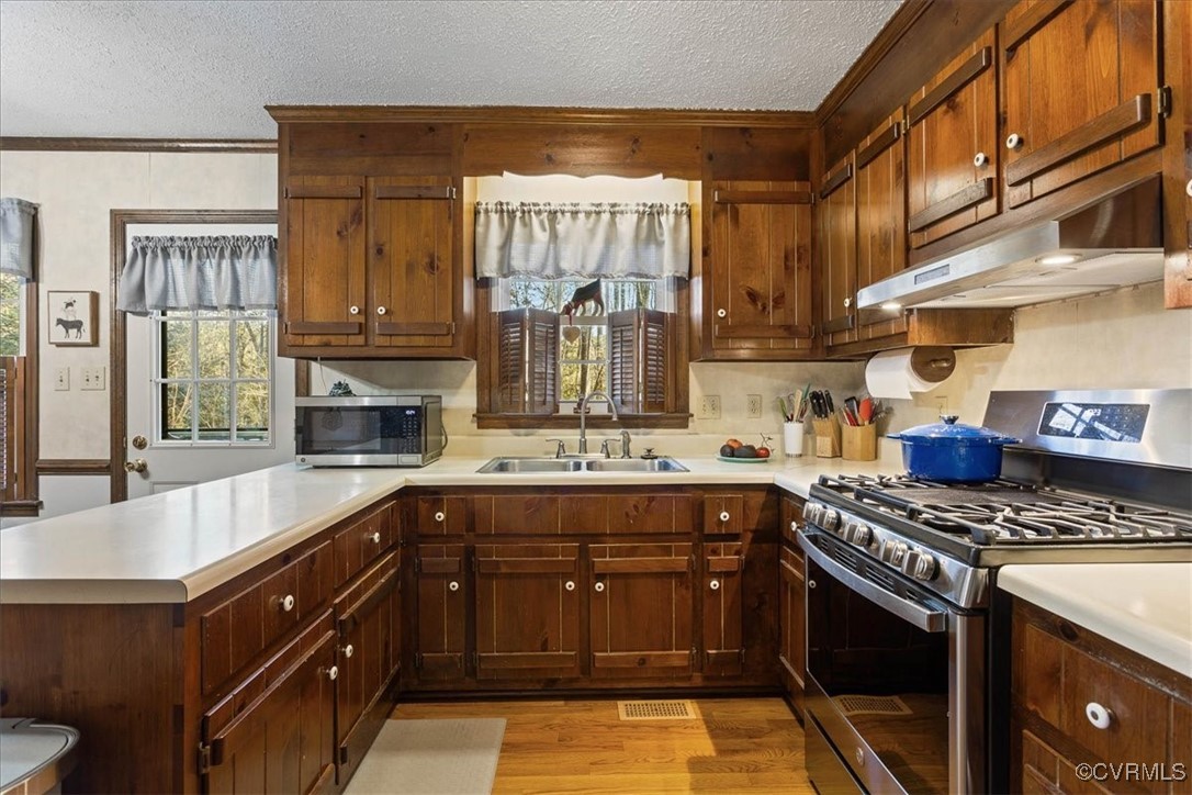 9531 Jerusalem Plank Road Waverly, VA 23890 - Photo 18 of 44 Kitchen with sink, light hardwood / wood-style flo