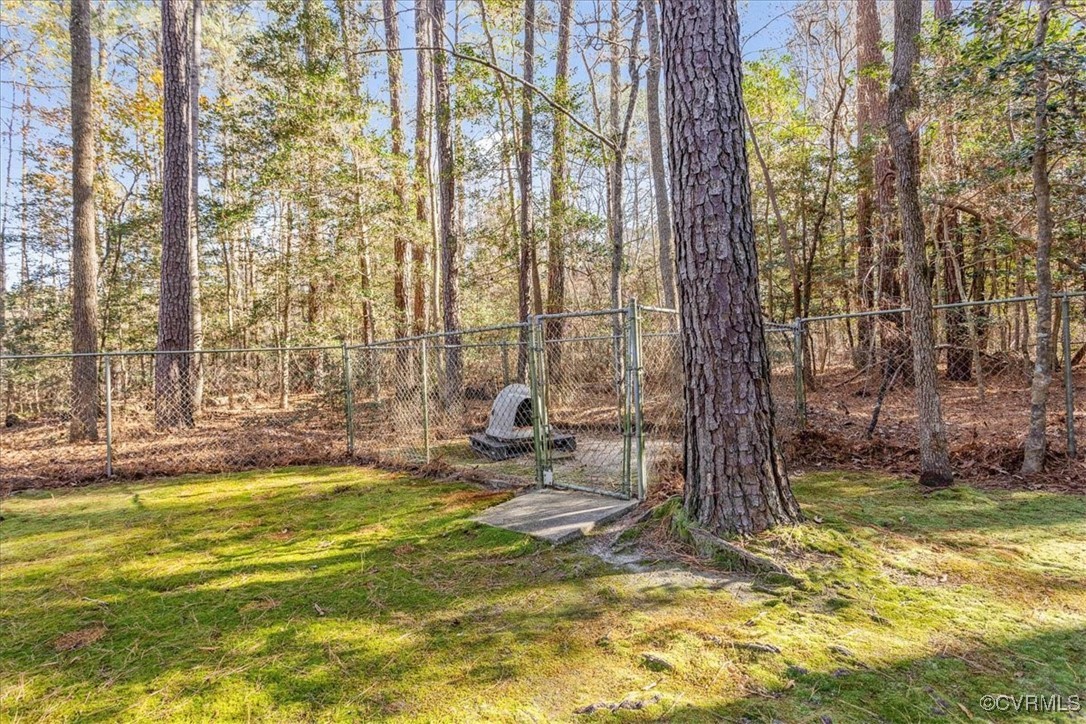 9531 Jerusalem Plank Road Waverly, VA 23890 - Photo 35 of 44 View of yard