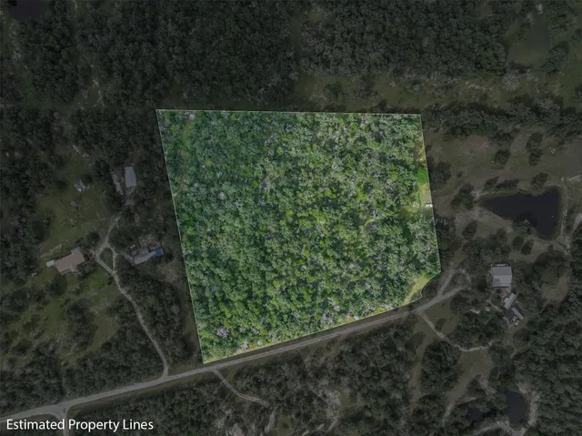a view of a forest from a window